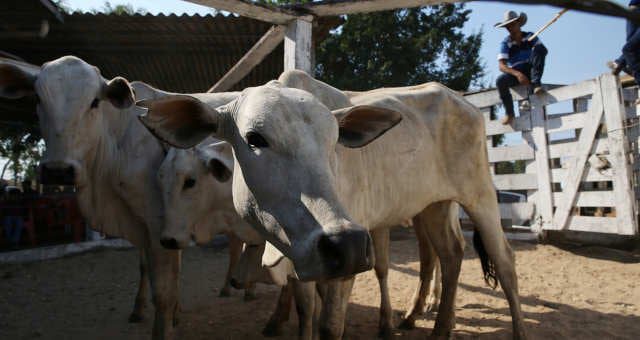 China reduz receita do Brasil em US$ 1 bilhão; JBS (JBSS3), Minerva (BEEF3) e Marfrig (MRFG3) podem se destacar no segundo trimestre de 2023? – Money Times