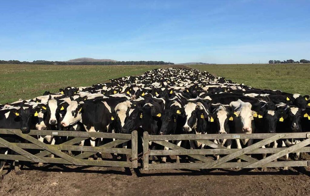 cerca de 61 das fazendas vao desaparecer ate 2050 1