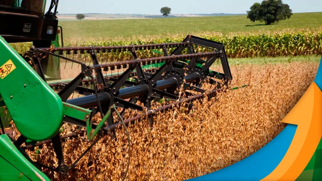 chuva impede plantio do milho em laguna carapa ms e tecnico agricola