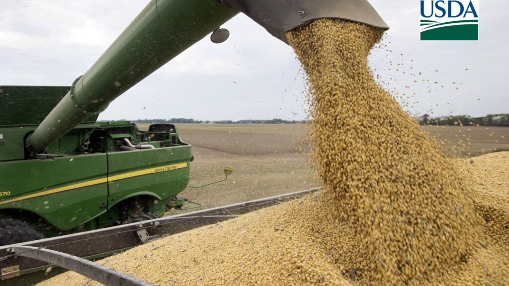 Colheita de soja vai a 60% da área em MT; Imea está em “alerta” com atraso... 2 colheita de soja vai a 60 da area em mt imea esta em alerta com atraso