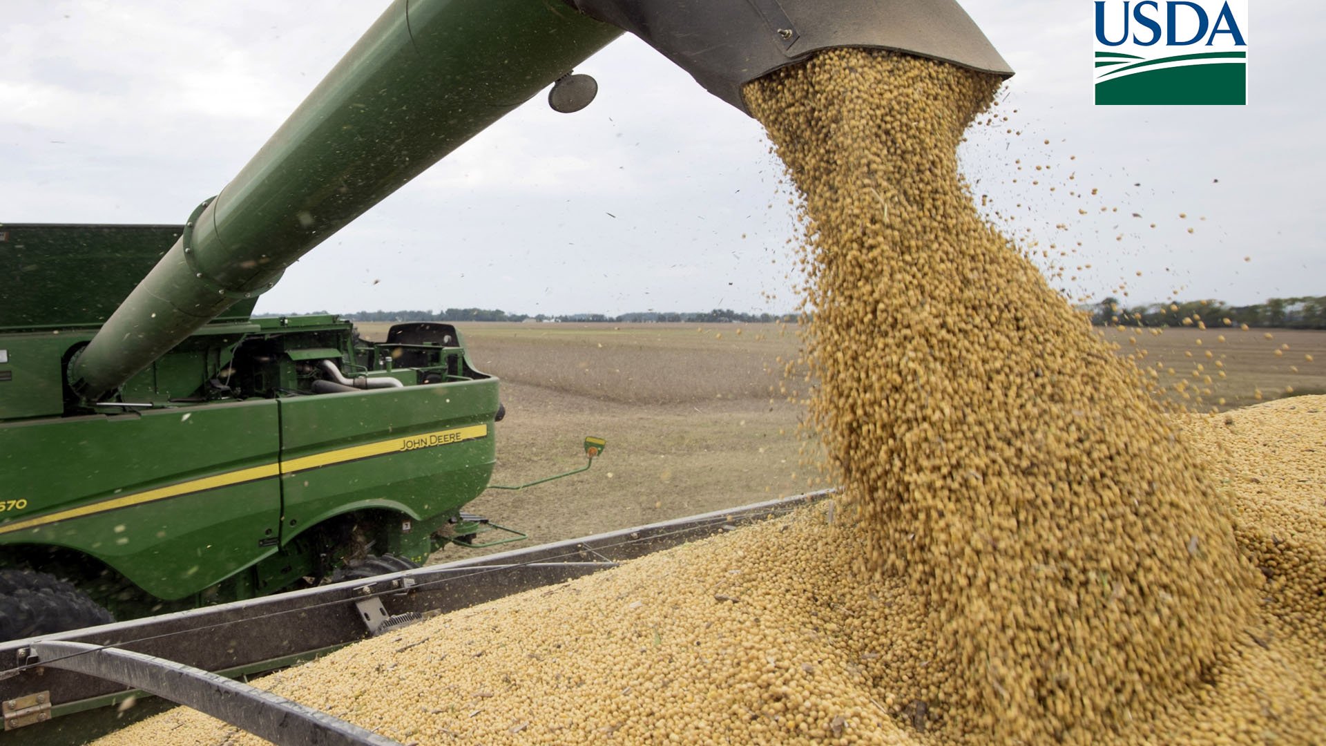 colheita de soja vai a 60 da area em mt imea esta em alerta com atraso