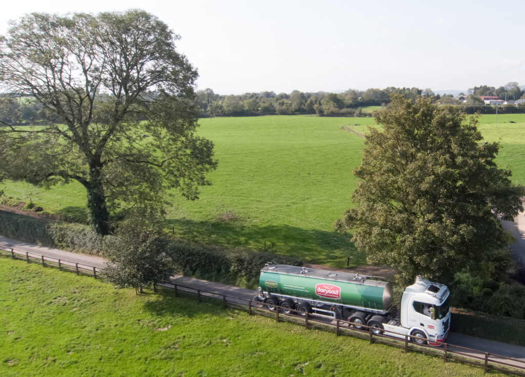 dairygold the latest processor to pull back on milk price 1