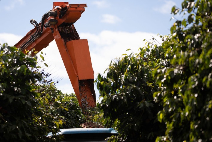 depois de intensa valorizacao cafe abre apenas com variacao tecnica em nova york