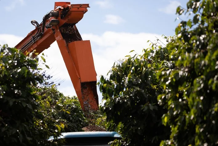 Depois de intensa valorização café abre apenas com variação técnica em Nova York 2 depois de intensa valorizacao cafe abre apenas com variacao tecnica em nova york