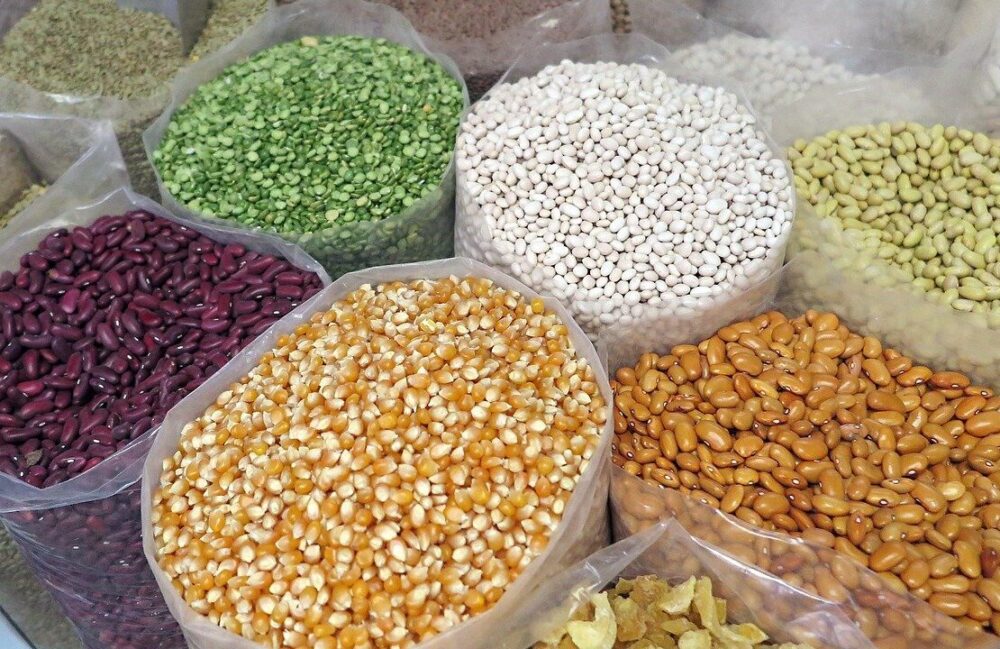 dia mundial das leguminosas dicas para uma boa armazenagem de graos