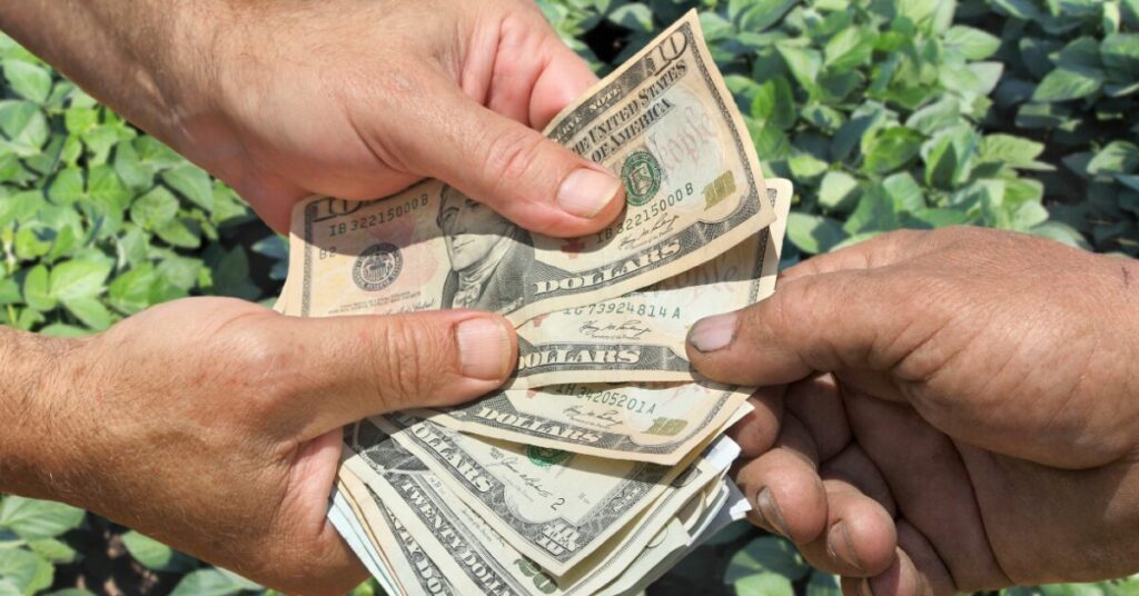 dolar sobe para r 527 com tensoes no brasil e no exterior portal dbo