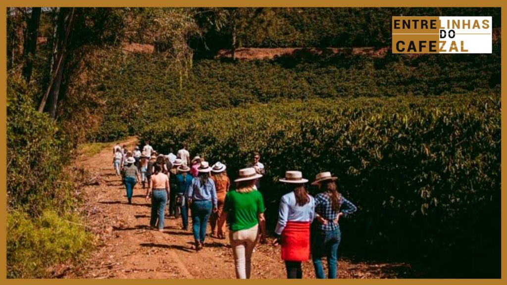 educar para transformar o mundo repleto de oportunidades que nasce atraves