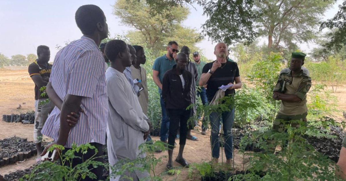 embrapa contribuira com a grande muralha verde no senegal portal dbo