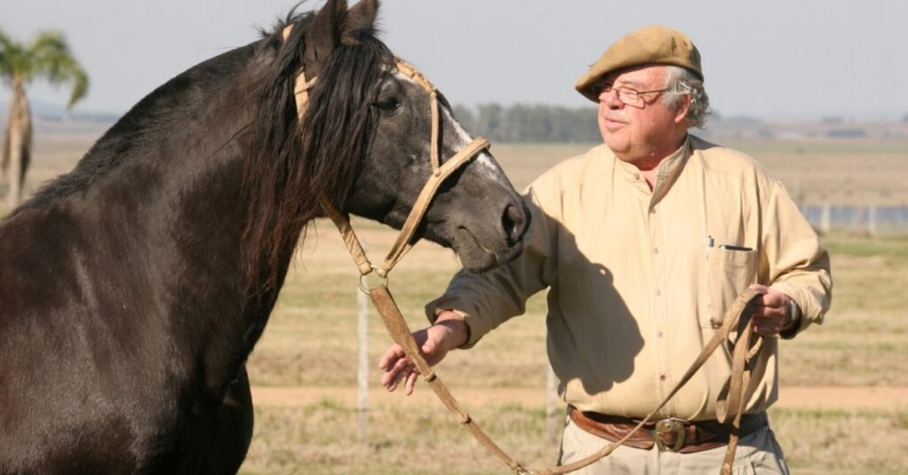 equinocultura nacional perde joao manoel cordeiro costa portal dbo