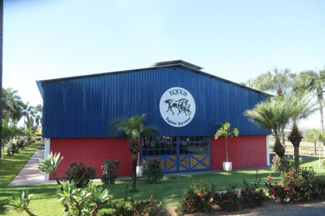 Equus Equine Services