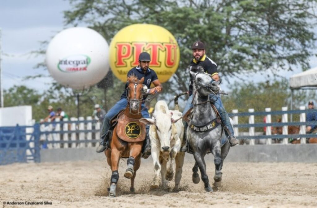 Estão abertas as inscrições para competições da ABQM 2 Nordeste concentra 20% do plantel nacional de cavalos