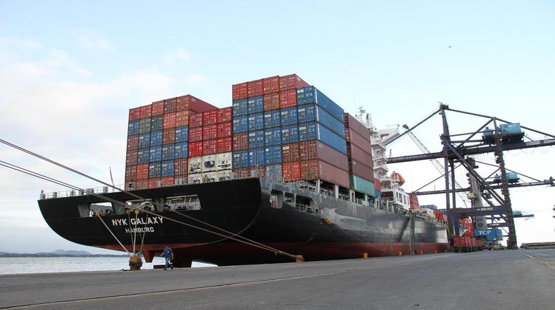 Exportações de carne de frango crescem 20,6% em janeiro