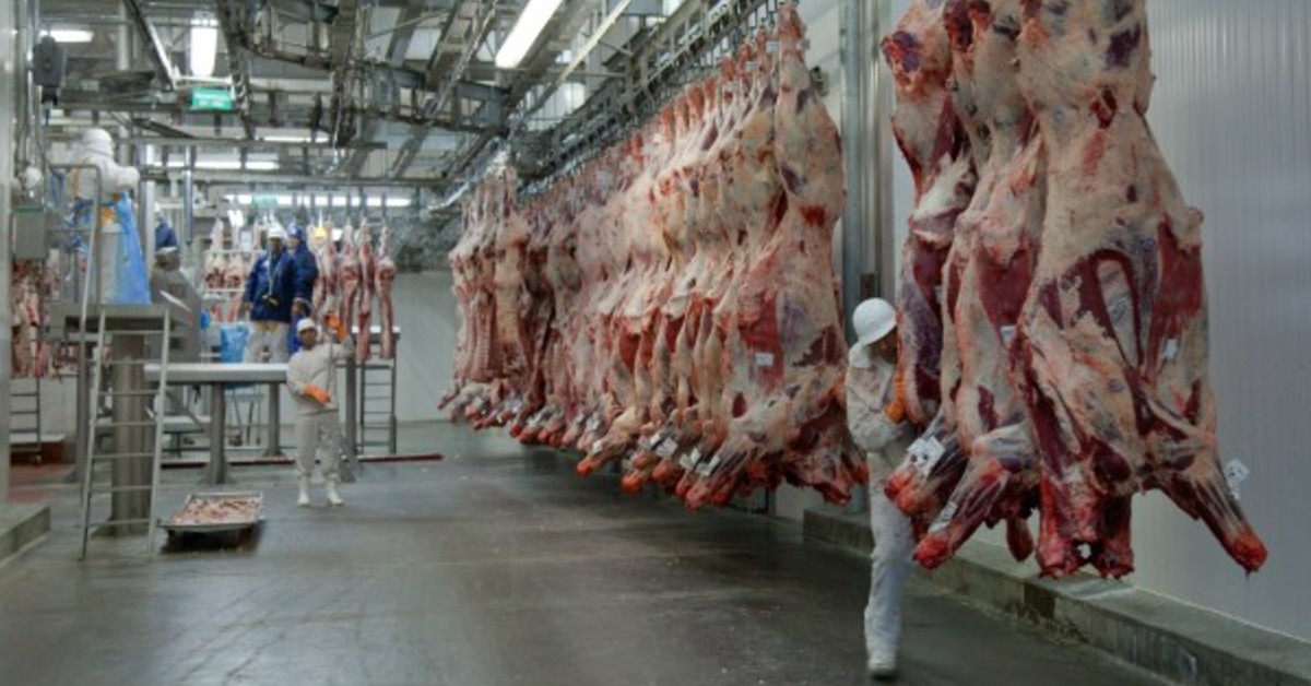 exportacoes sustentam valor do boi china enquanto mercado domestico segue patinando portal dbo