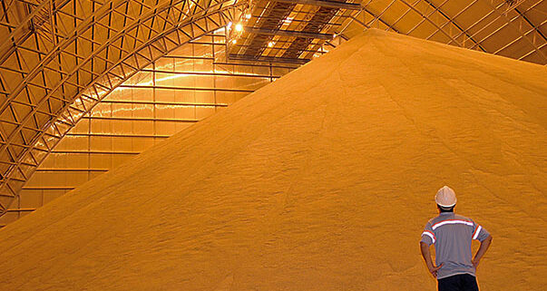 fiscalizacao de estoques de alimentos aumentou 17 em 2022 diz conab portal dbo