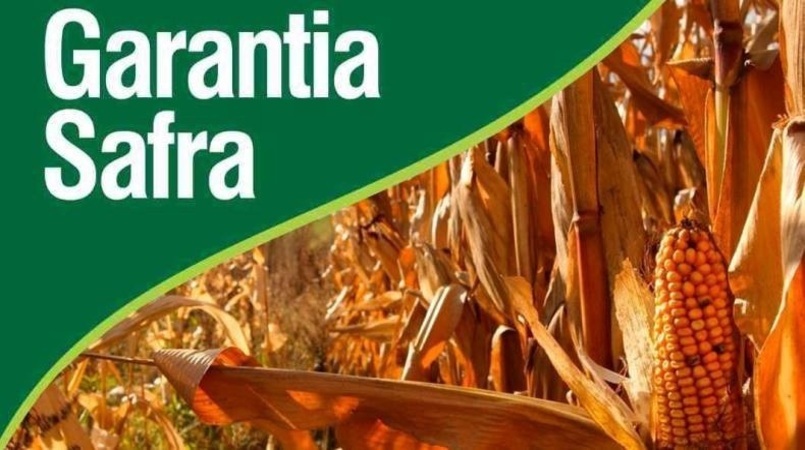 Garantia-Safra beneficia mais de 16 mil agricultoras e agricultores familiares em fevereiro
