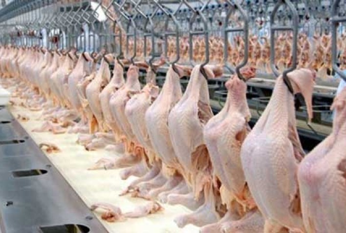 lider mundial no mercado de frango halal brasil amplia acao na maior feira de alimentos do oriente medio