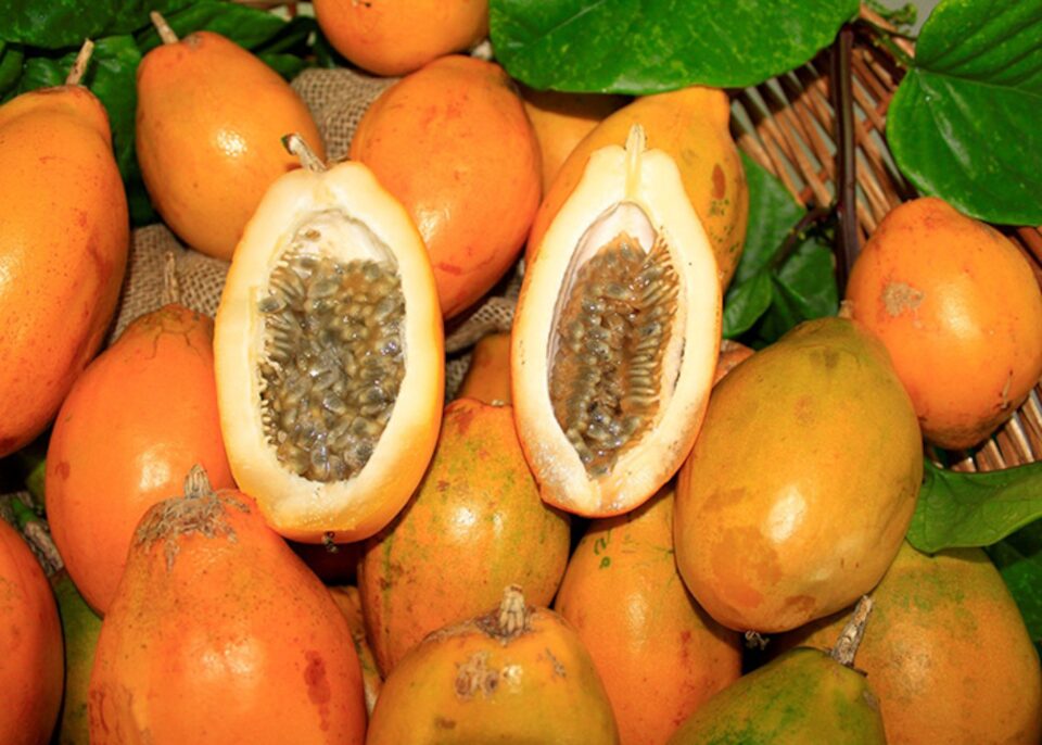 Maracujá doce cortado ao meio com as sementes expostas, e vários maracujás ao fundo