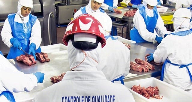 marfrig mrfg3 distribui 385 t de carne ao dia no brasil algo como 12 ou 17 mil bois money times