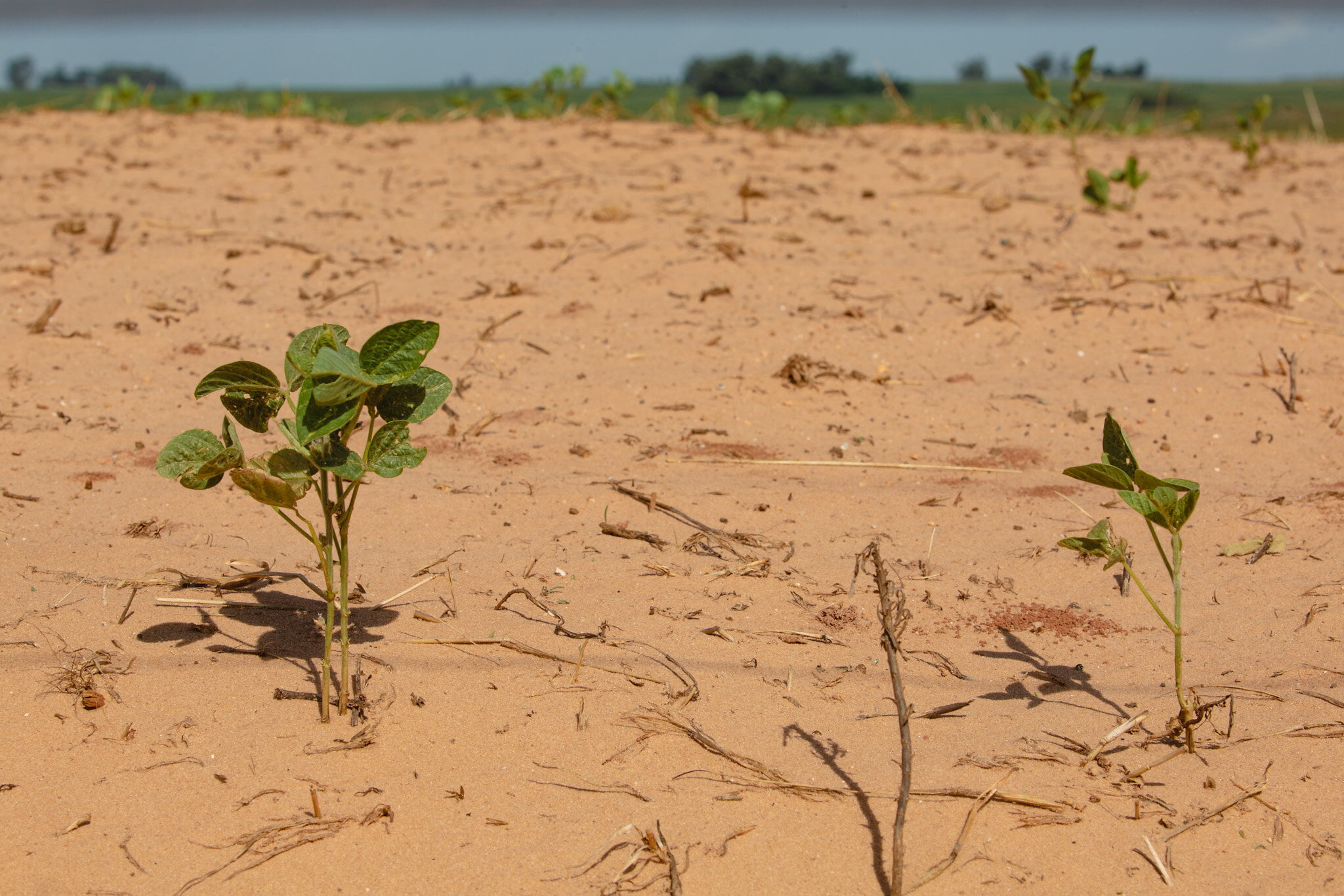 ministros vao ao rio grande do sul para verificar prejuizos da estiagem
