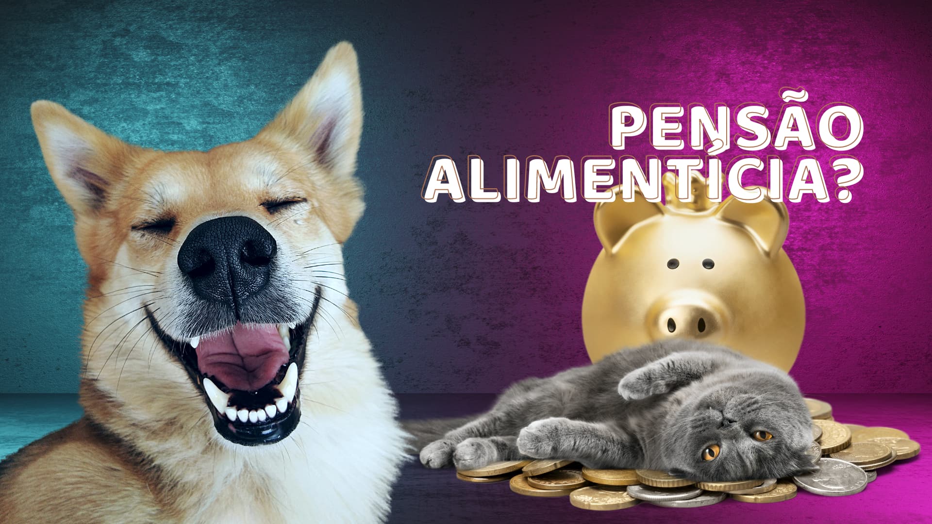 pl propoe pensao alimenticia para pets proposta tramita na camara 1