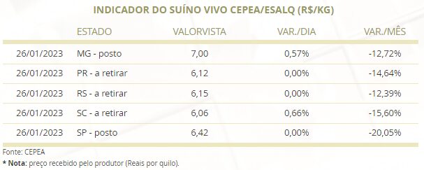 poder de compra do suinocultor cai frente ao milho 1