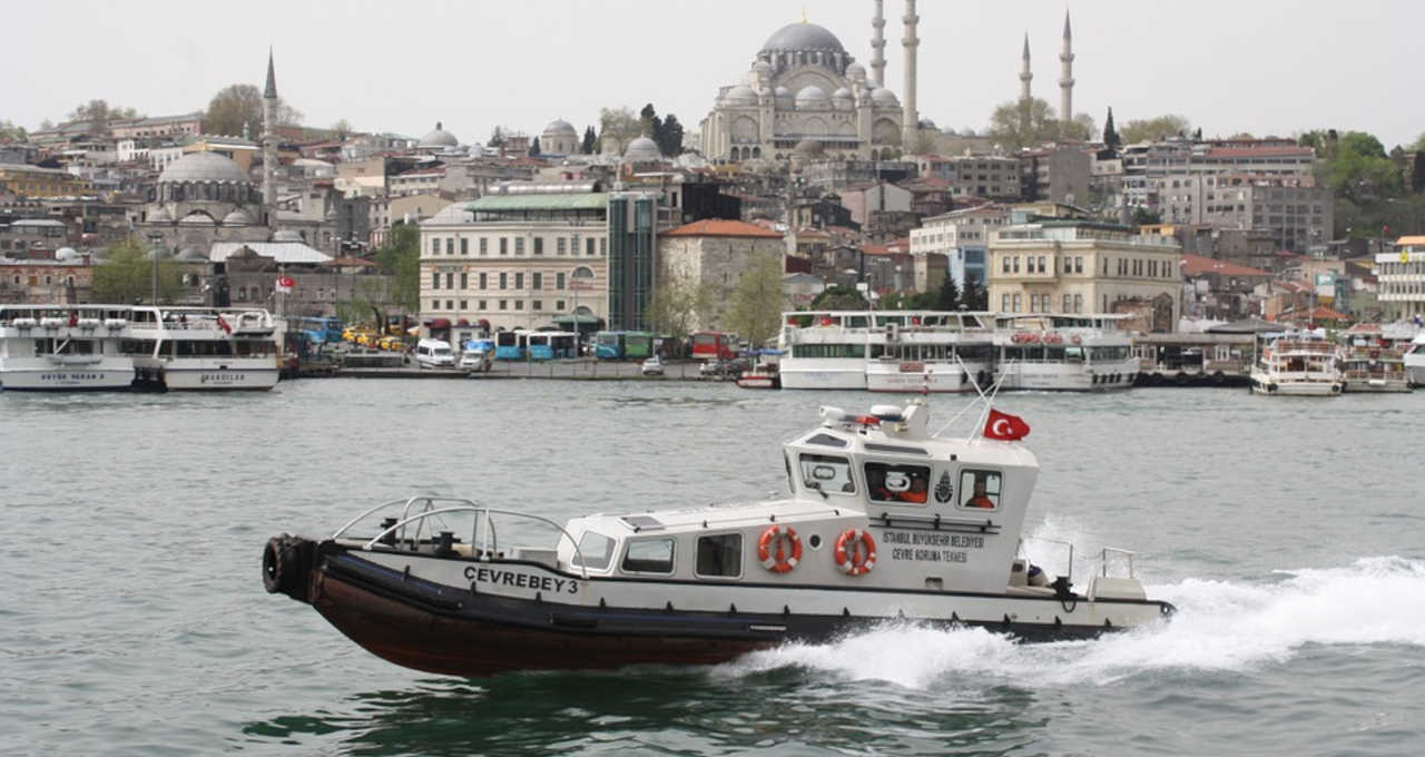 porto confirma embarque de bois para turquia problemas para o agro estao nos navios chegando la money times