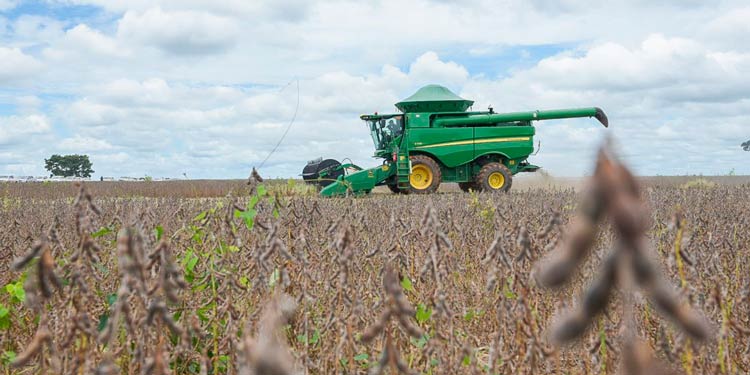 pr colheu 2 da soja e 4 por milho verao portal dbo
