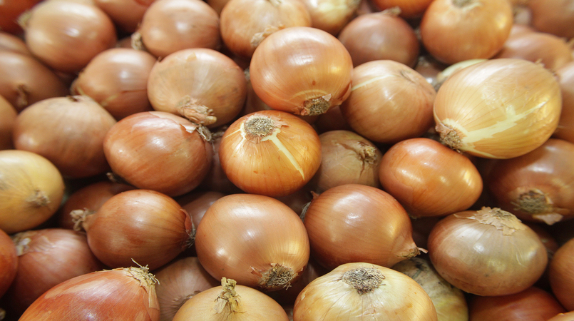 Preço da cebola cai no atacado com aumento da oferta no Sul do país