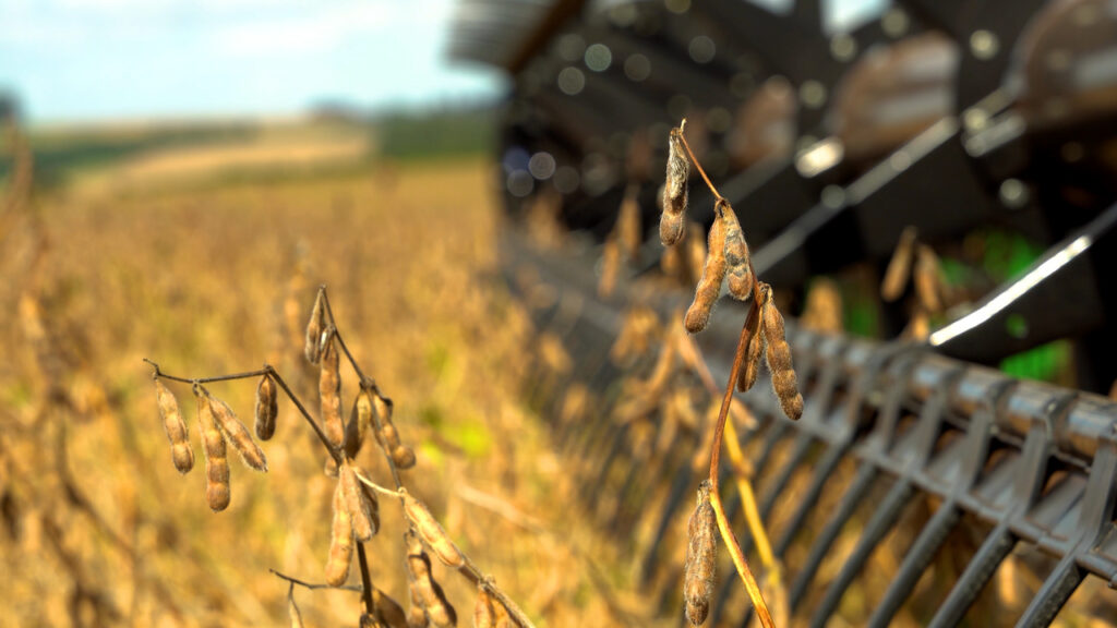 pressao nos precos da soja e reflexo de varios fatores 1