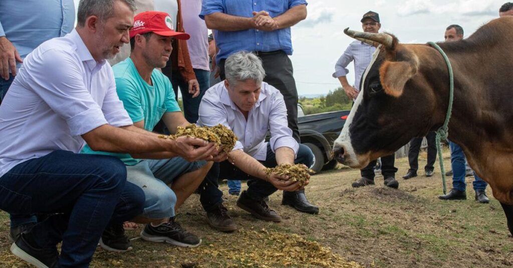 prorrogacao de financiamentos do pronaf e pronamp sera tratada com fazenda portal dbo