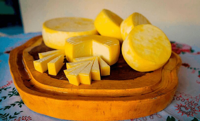 queijo do parana recebe registro de marca coletiva 1