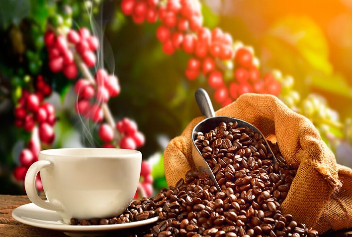 Safras aponta atraso na comercialização antecipada de café 2023/24 do Brasil