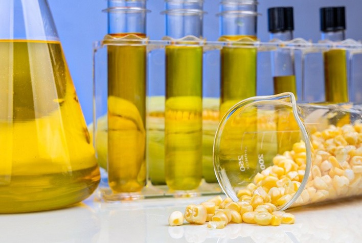 sao martinho comeca a produzir etanol de milho em goias ainda neste mes