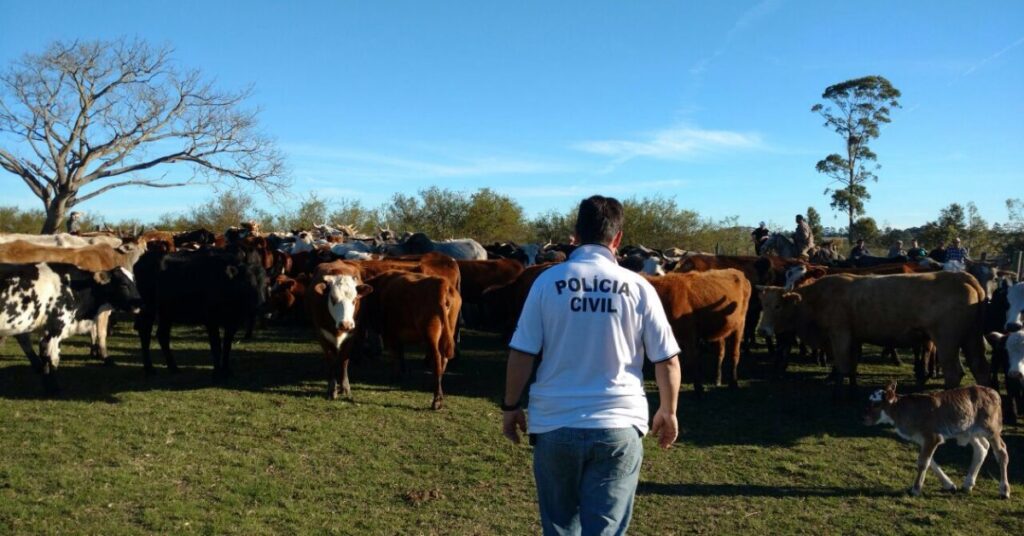 SC conta com delegacia especializada em crimes contra o agronegócio • Portal DBO 2 sc conta com delegacia especializada em crimes contra o agronegocio portal dbo