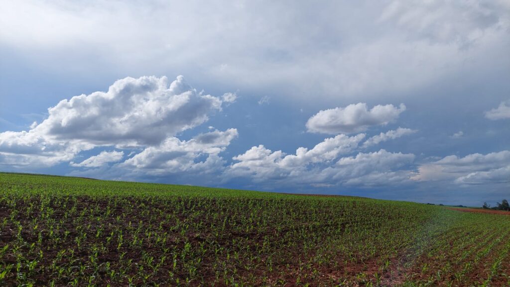 sera que chuva vai embora nesta semana 1