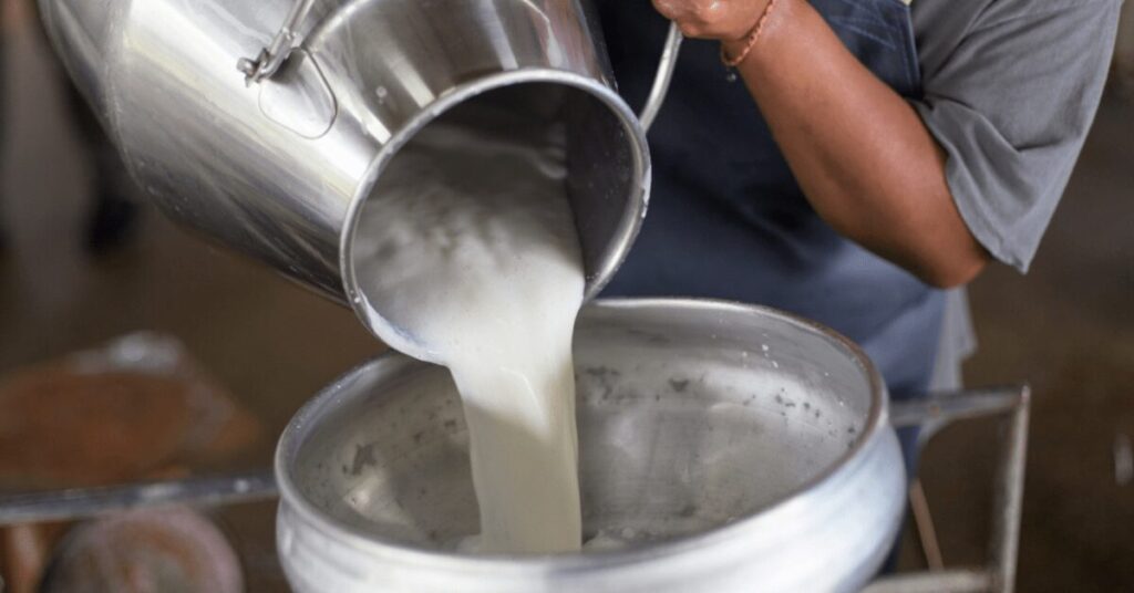 sindilat pretende discutir com secretario concorrencia com produtos do mercosul portal dbo