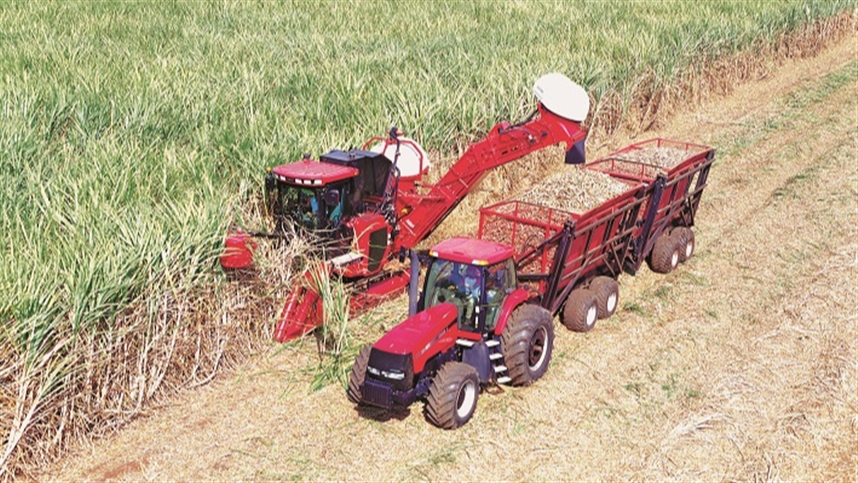 valor bruto da producao agropecuaria deve alcancar r 1321 bilhoes no mg