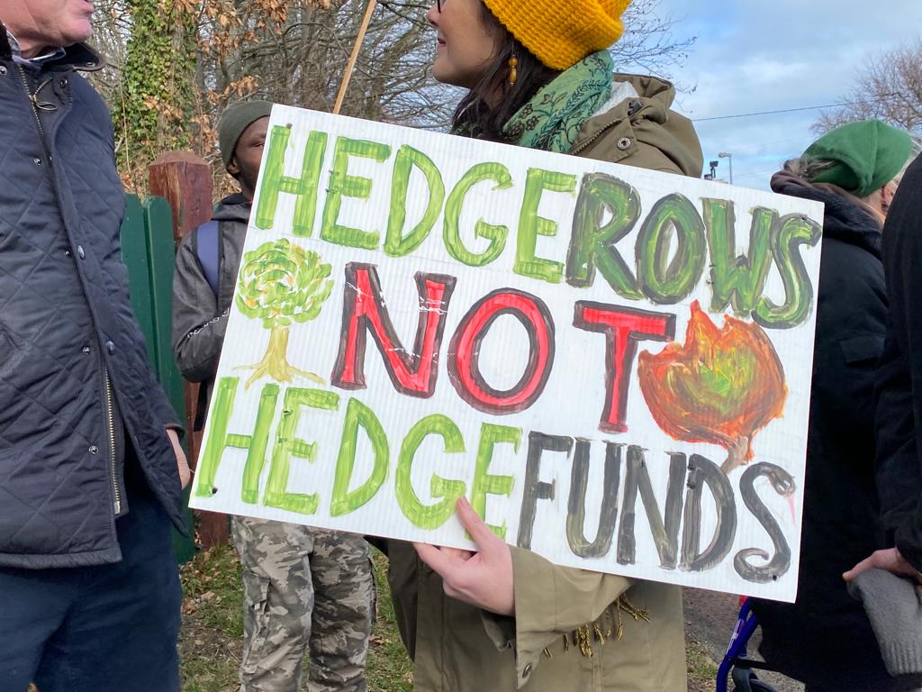 video save our forests alliance protests at coillte hq 1