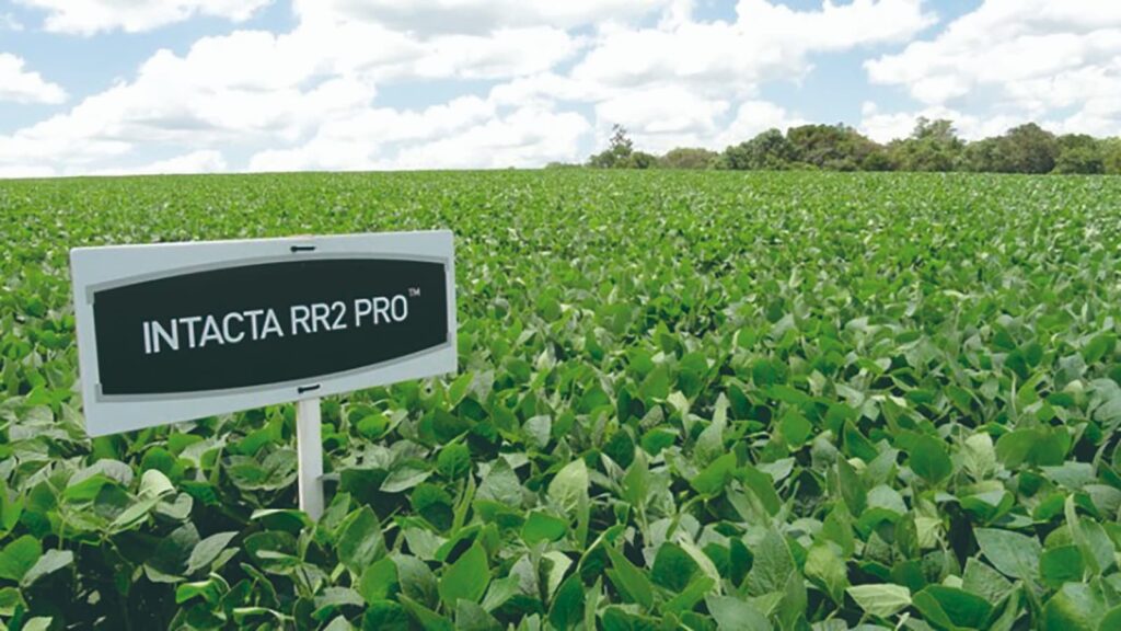 vitoria dos produtores de soja no stf obriga bayer depositar r 13 bilhao por uso de patente