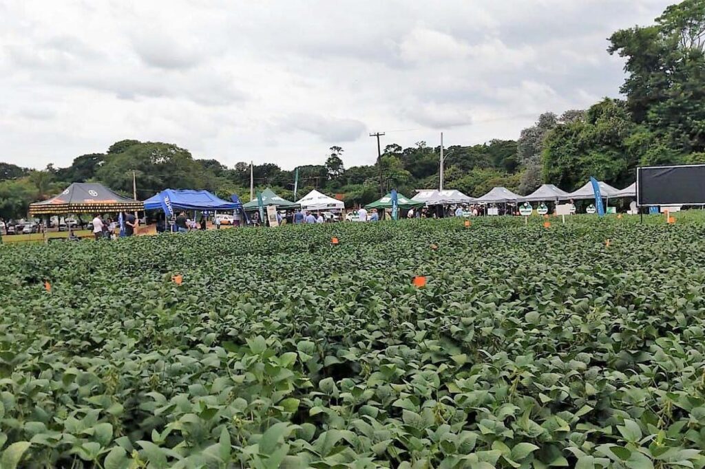 vitrine de tecnologia do agro recebe centenas de pesquisadores no parana