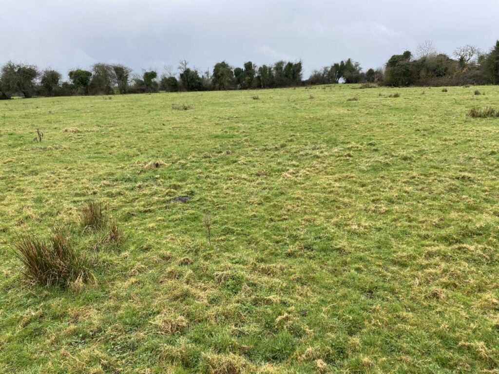 47ac farm for sale in Limerick guiding at €500,000 2 47ac farm for sale in limerick guiding at e500000 1