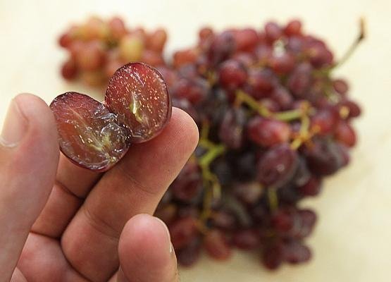 8 tipos de uva sem semente e a origem delas 11 8 tipos de uva sem semente e a origem delas