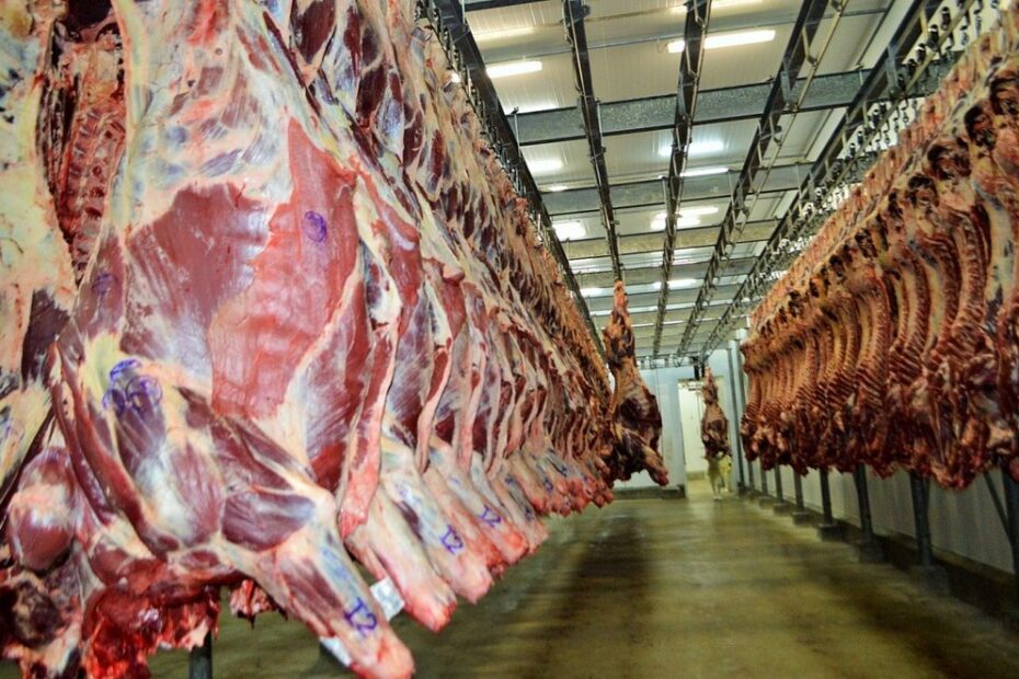 China suspende embargo a carne bovina brasileira