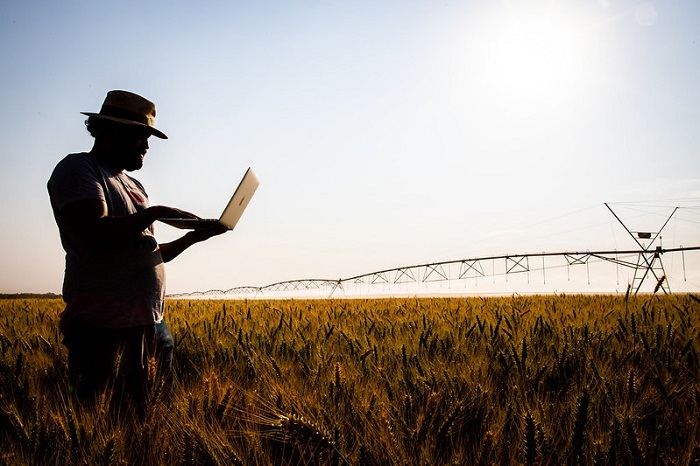 Conectividade para uma agricultura mais sustentavel