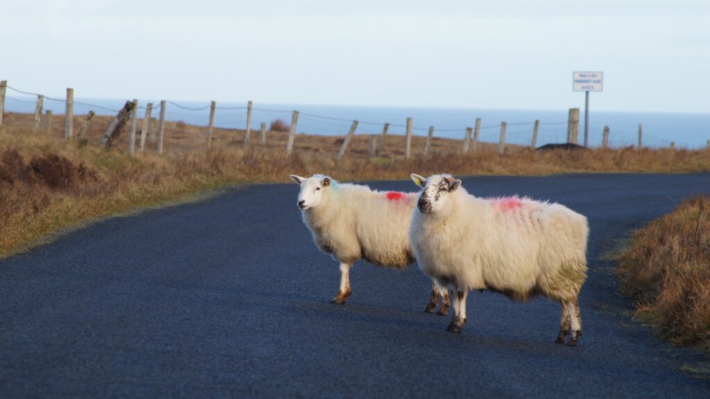 Defeated Donegal IFA election candidate calls for new election