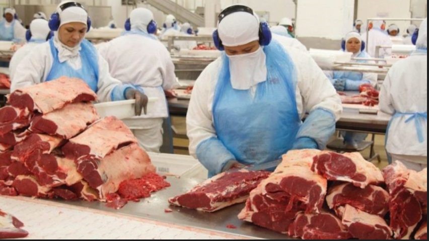 Exportacao de carne bovina para China sera retomada ainda este