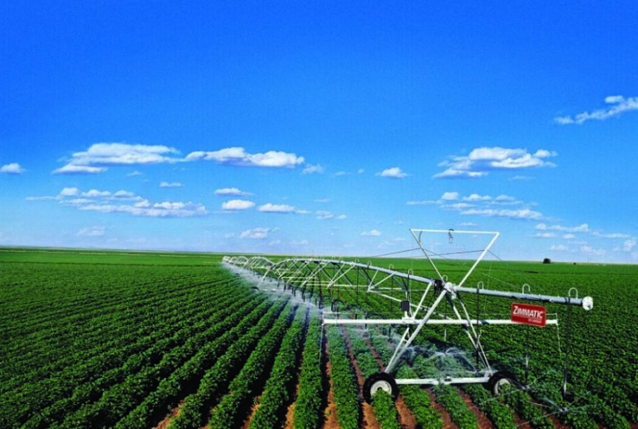 café, irrigação, produção, agricultura, qualidade, solo