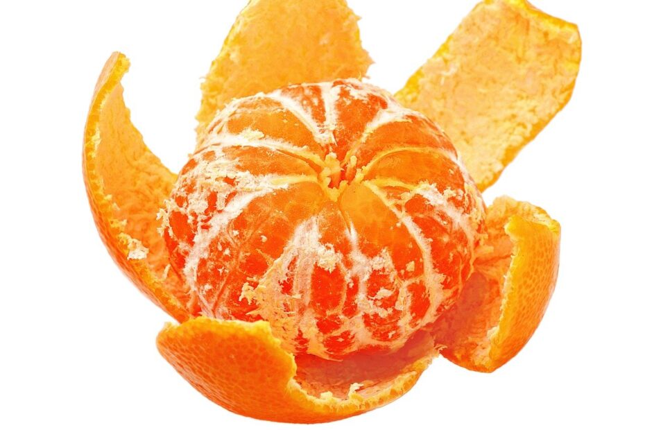 Mexerica tangerina ponca bergamota entenda as diferencas