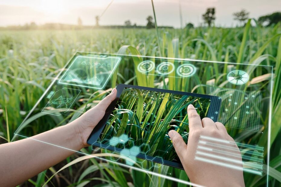 O agro e a tecnologia explorando os avancos no setor