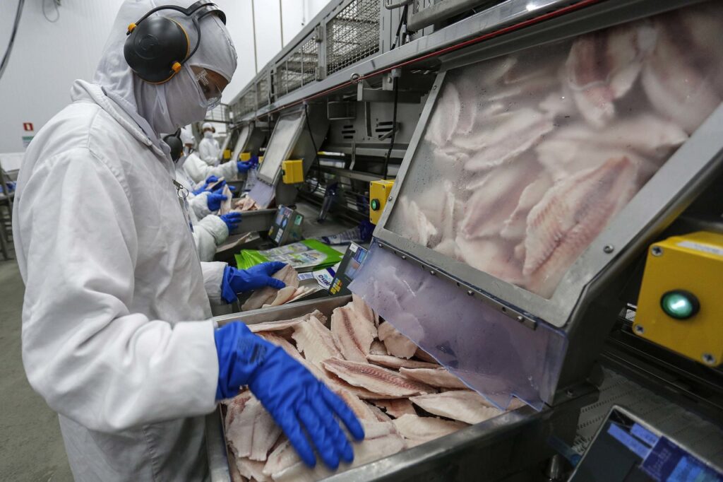 Parana lidera producao e exportacao de carne de peixe